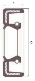 Schema Anello di Tenuta Paraolio